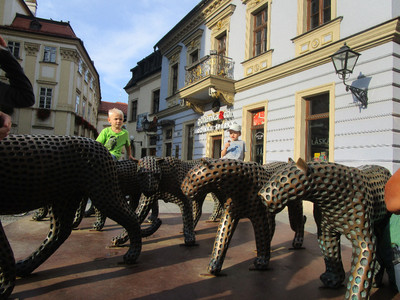 V centru divočina!