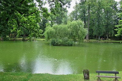 img-7346.jpg
