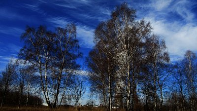 img-7575.jpg