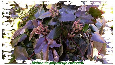 img-7648.jpg