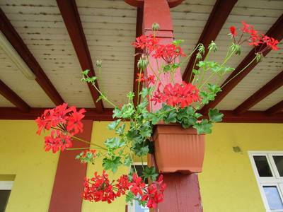 img-7729-1.jpg