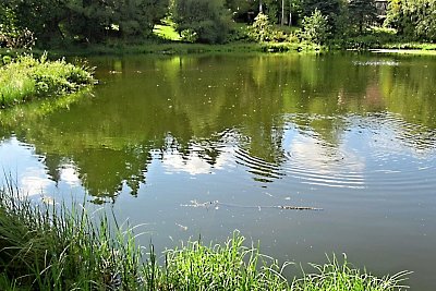 img-7986.jpg