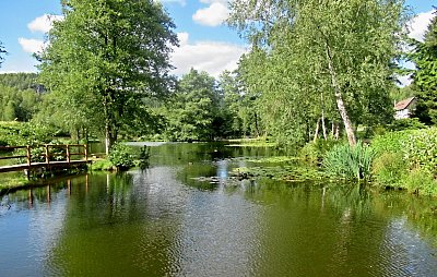 img-8010.jpg