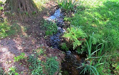 img-8025-2.jpg