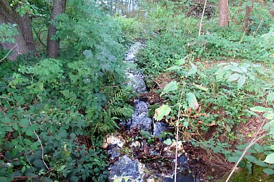 img-8047-1.jpg