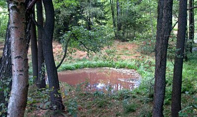 img-8056-1.jpg