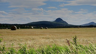img-8228-1.jpg