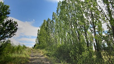 img-8242.jpg