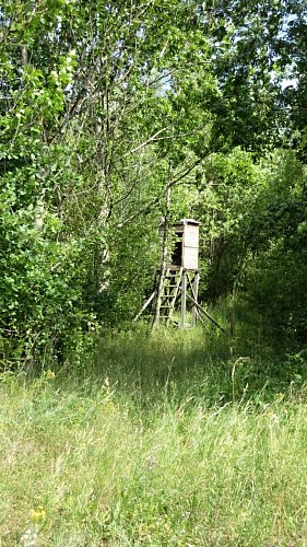 img-8257.jpg