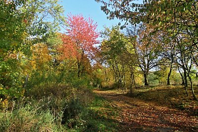 img-8340-1.jpg
