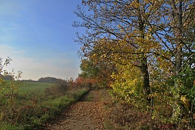 img-8357.jpg