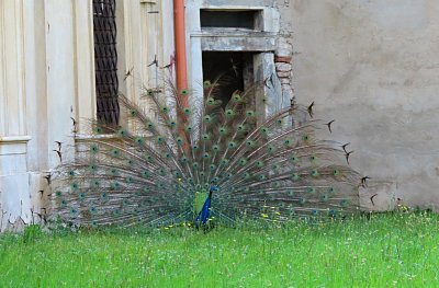 img-8713-kde-se-to-natrasas-ty-pave.jpg