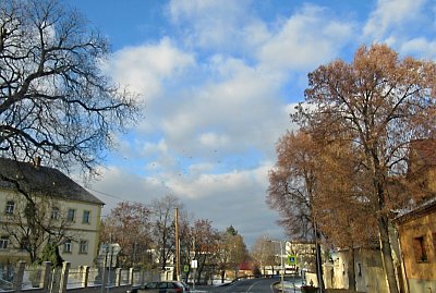 img-8798.jpg