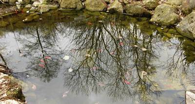 img-8959.jpg