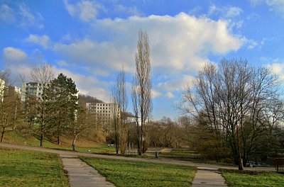 img-9143-1.jpg