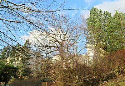 img-9181.jpg