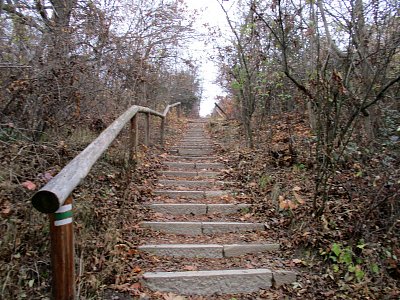 img-9389.jpg