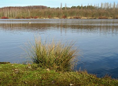 img-9460-1.jpg