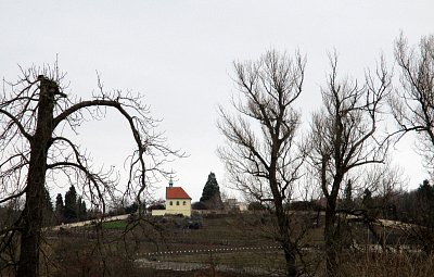 sv. Klára