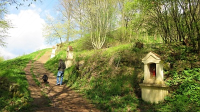 img-9701.jpg