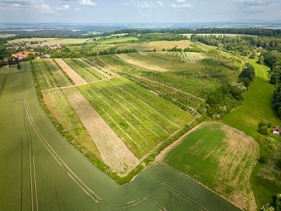 Pohled z dronu