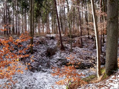 Zima ještě neskončila