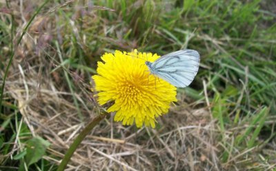 Těšíme se na jaro