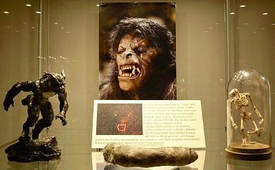 jsou-vlkodlaci-nemocni-lide-nebo-u-nich-skutecne-za-uplnku-dochazi-k-telesne-premene.jpg