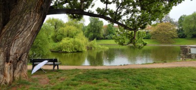 ...když v Praze prší....