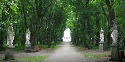Zelená klenba