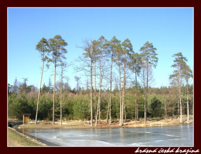 kouzlo-ceske-prirody-028-novohradecke-lesy.jpg