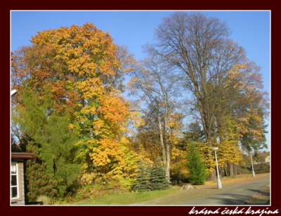 kouzlo-ceske-prirody-206-zahradky.jpg