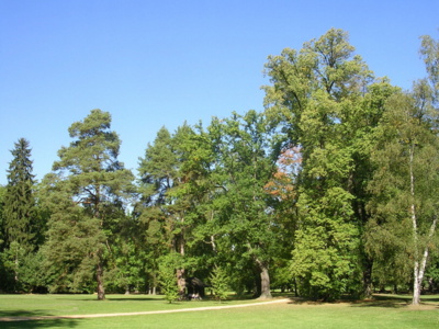 kouzlo-kopidlnskeho-parku.jpg