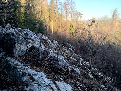 Kozičínské skalky