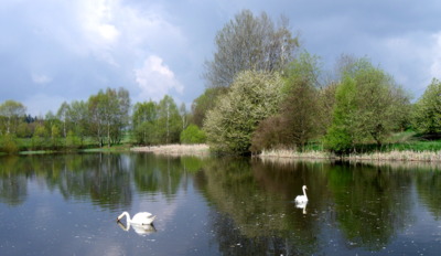 Labutí jezero ♥
