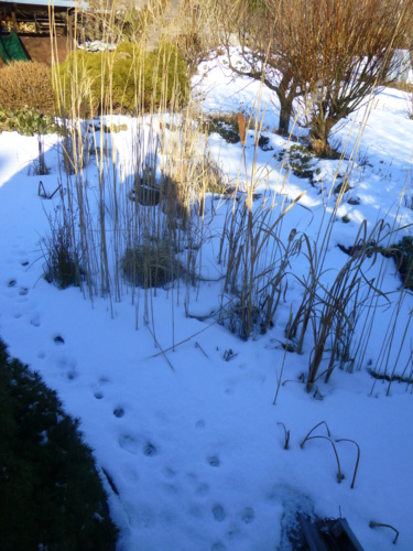 kam stopy povedou ...