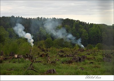 lesdscn2697.jpg