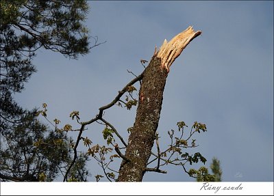 lesdscn3256.jpg