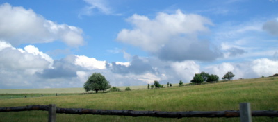 Letní louka