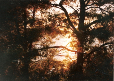 mljet-8.jpg