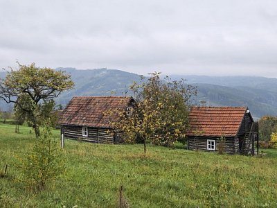 mora