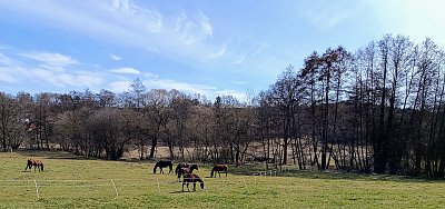 Tenkrát na západě *