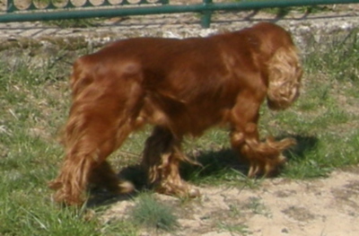 nas-hlidac.jpg
