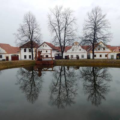 Náves
