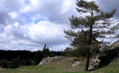 nedělní odpoledne v přírodě