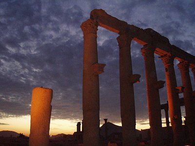 Palmyra