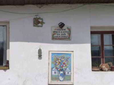 Obrázek