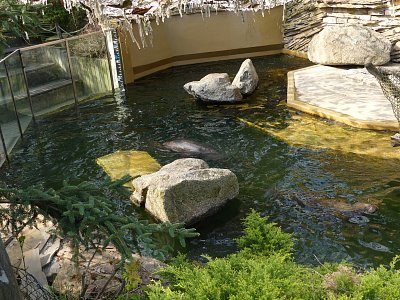 p1030288.jpg