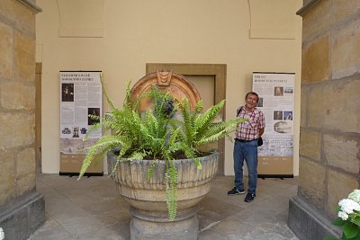p1040182.jpg