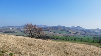 p1080117.jpg